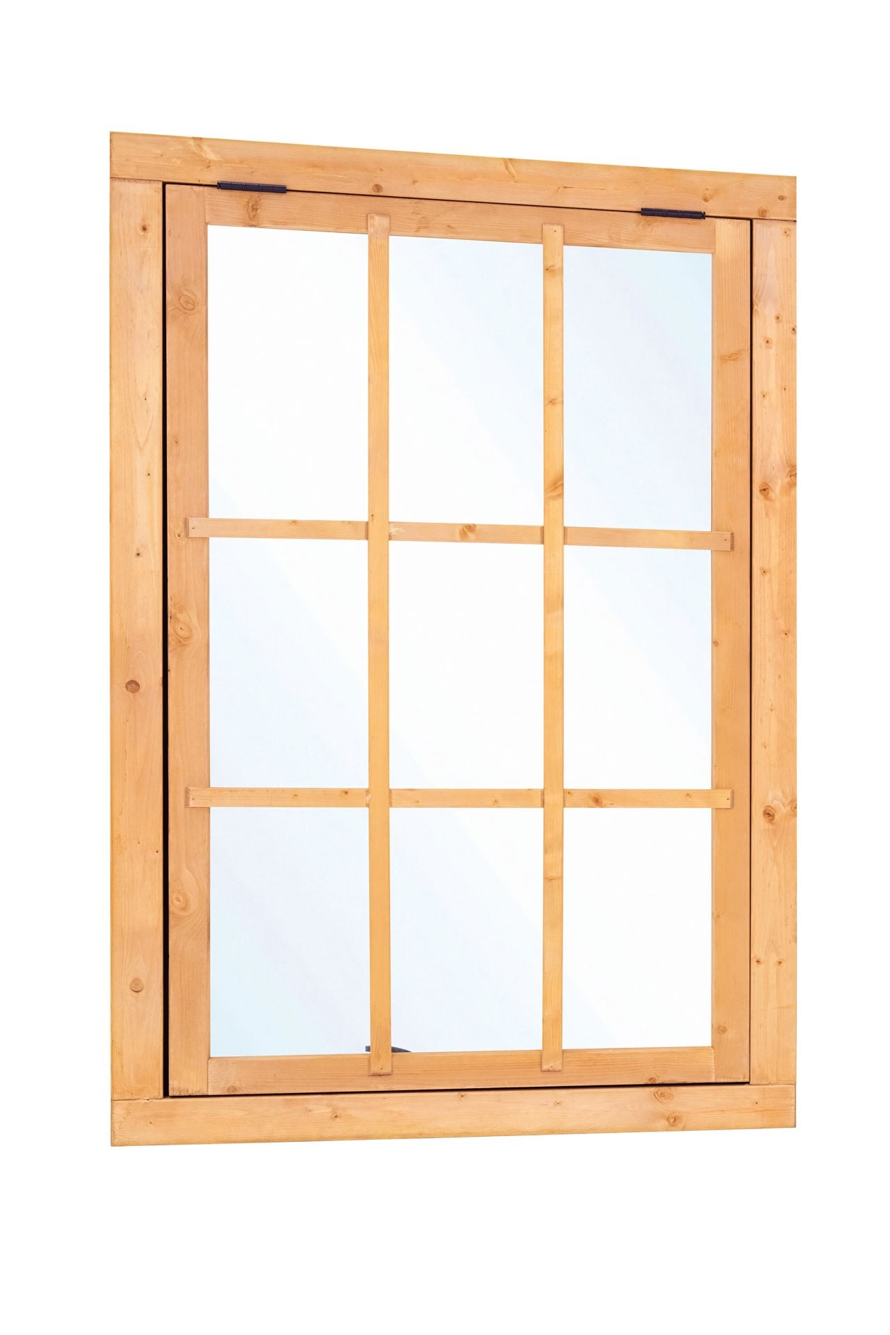 Douglas uitzetraam 9-ruits 100 x 155,4 cm